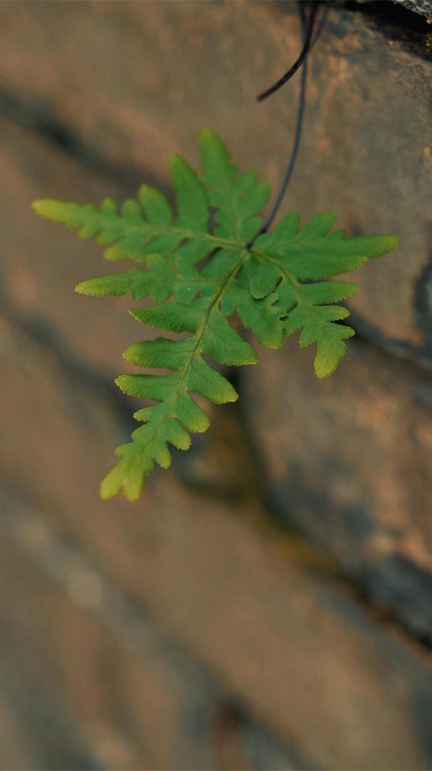 今天是公元2026年4月10日,星期五,农历二月廿三.
丙午年 壬辰月 甲寅日;