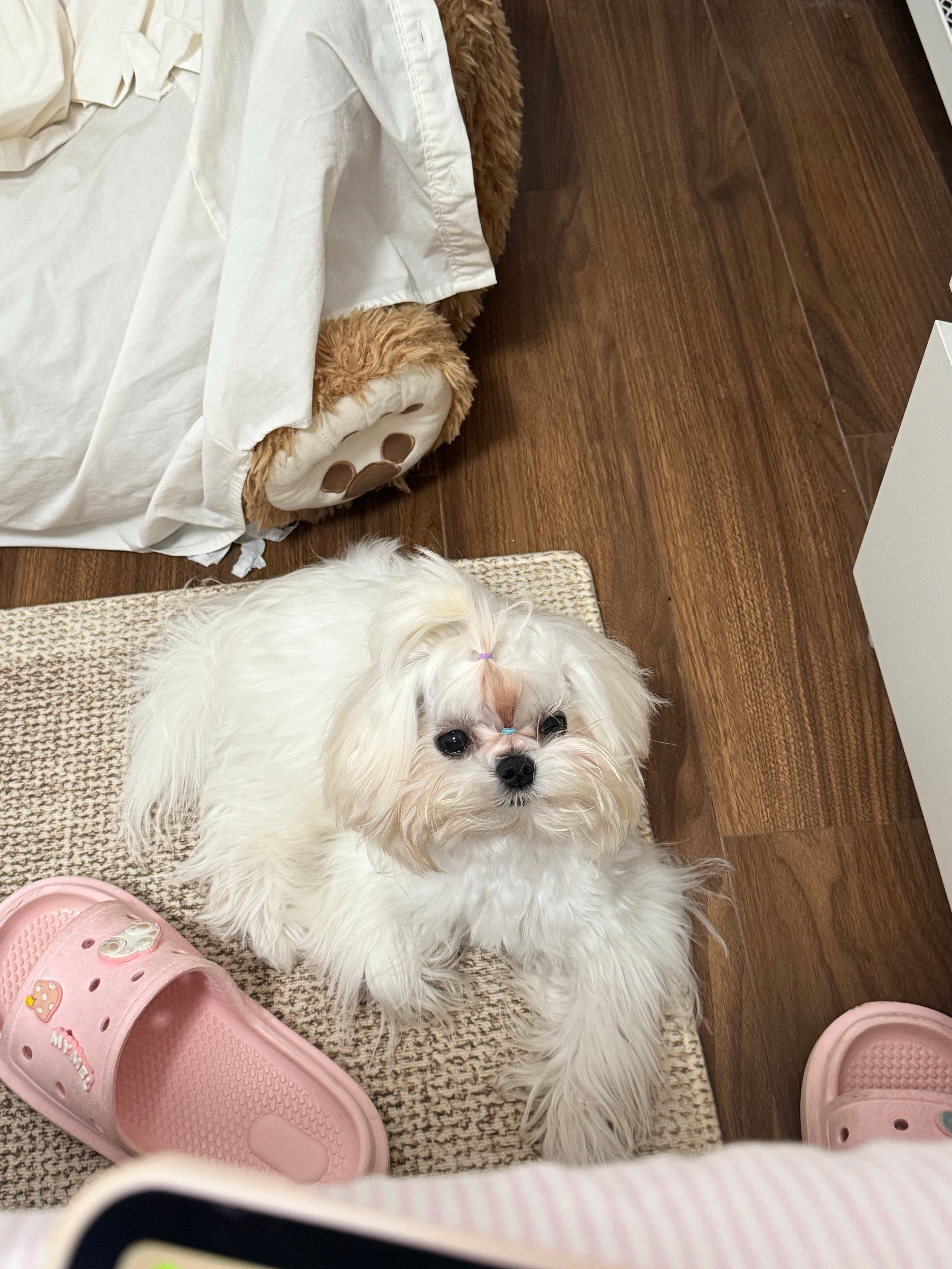 看到我吃东西就这样 ​​​