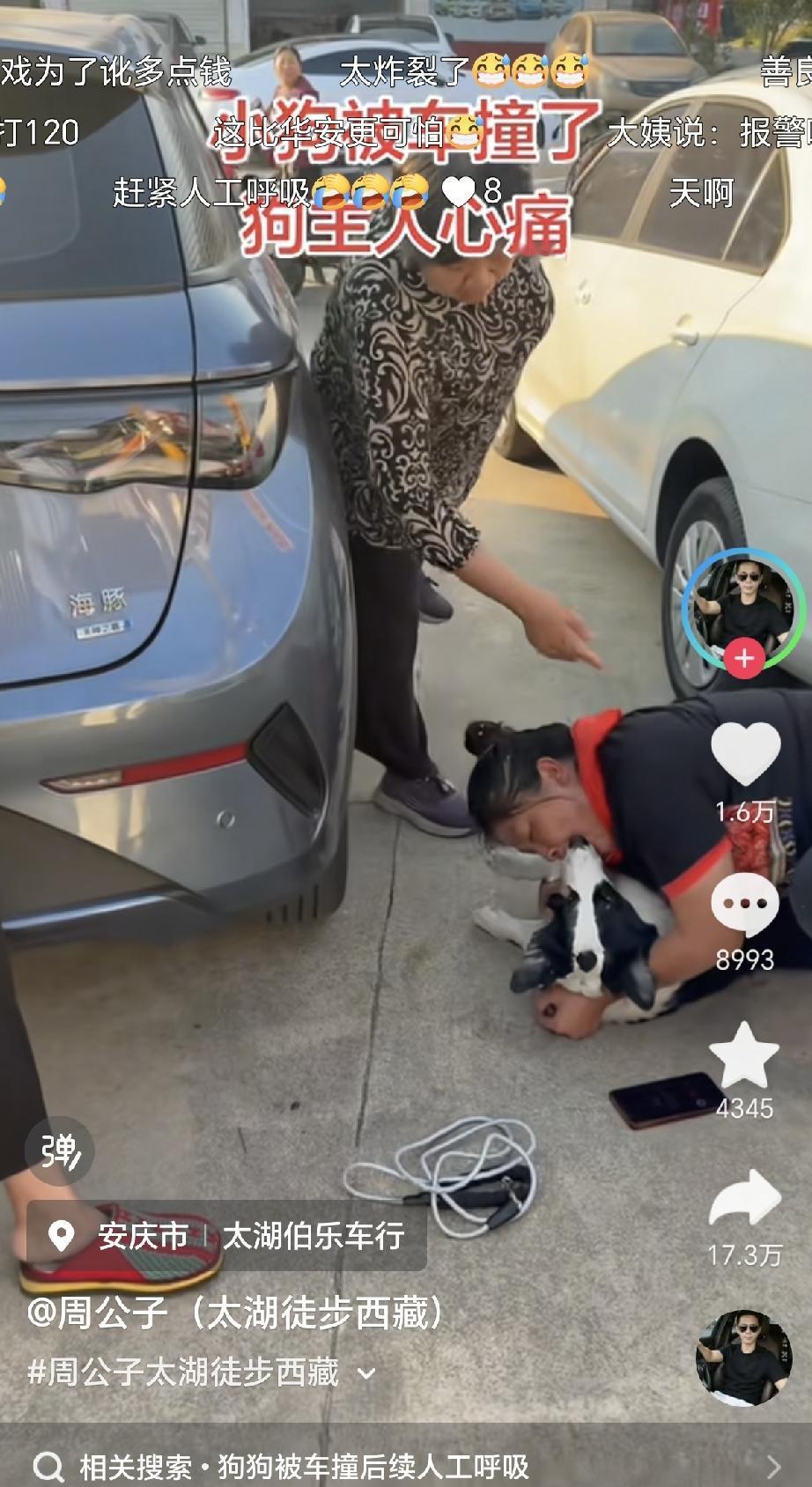 你们说这个女人对她的狗狗是真爱吗？不是真爱都不会想到给狗狗做人工呼吸，她要是真爱