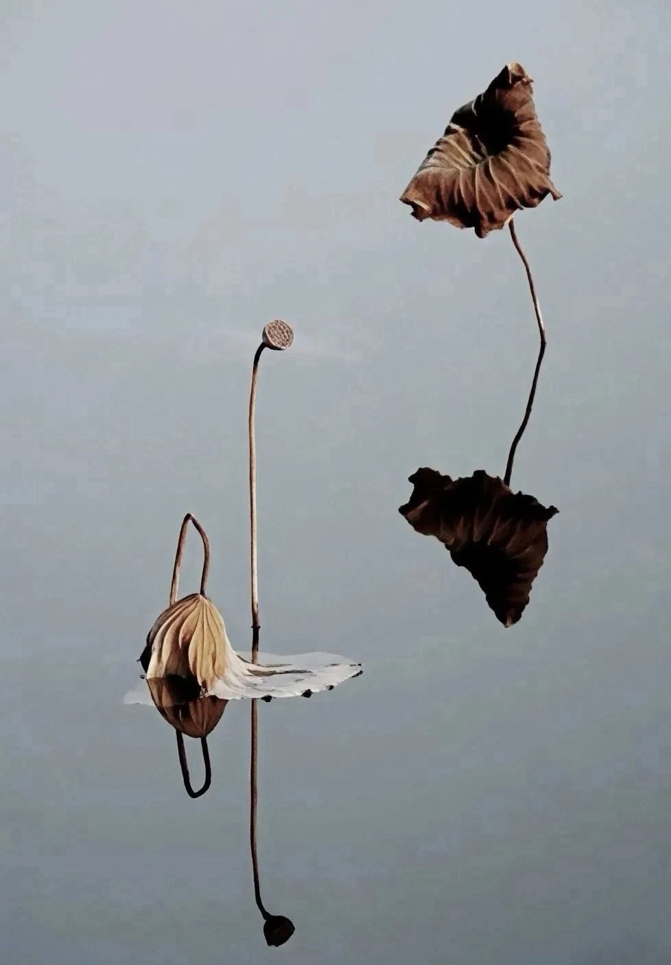 下午再看吧，早上大概就这样了，没戏。 