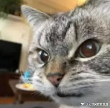 1252（咬牙切齿地醒来）（对这个世界充满愤懑） 