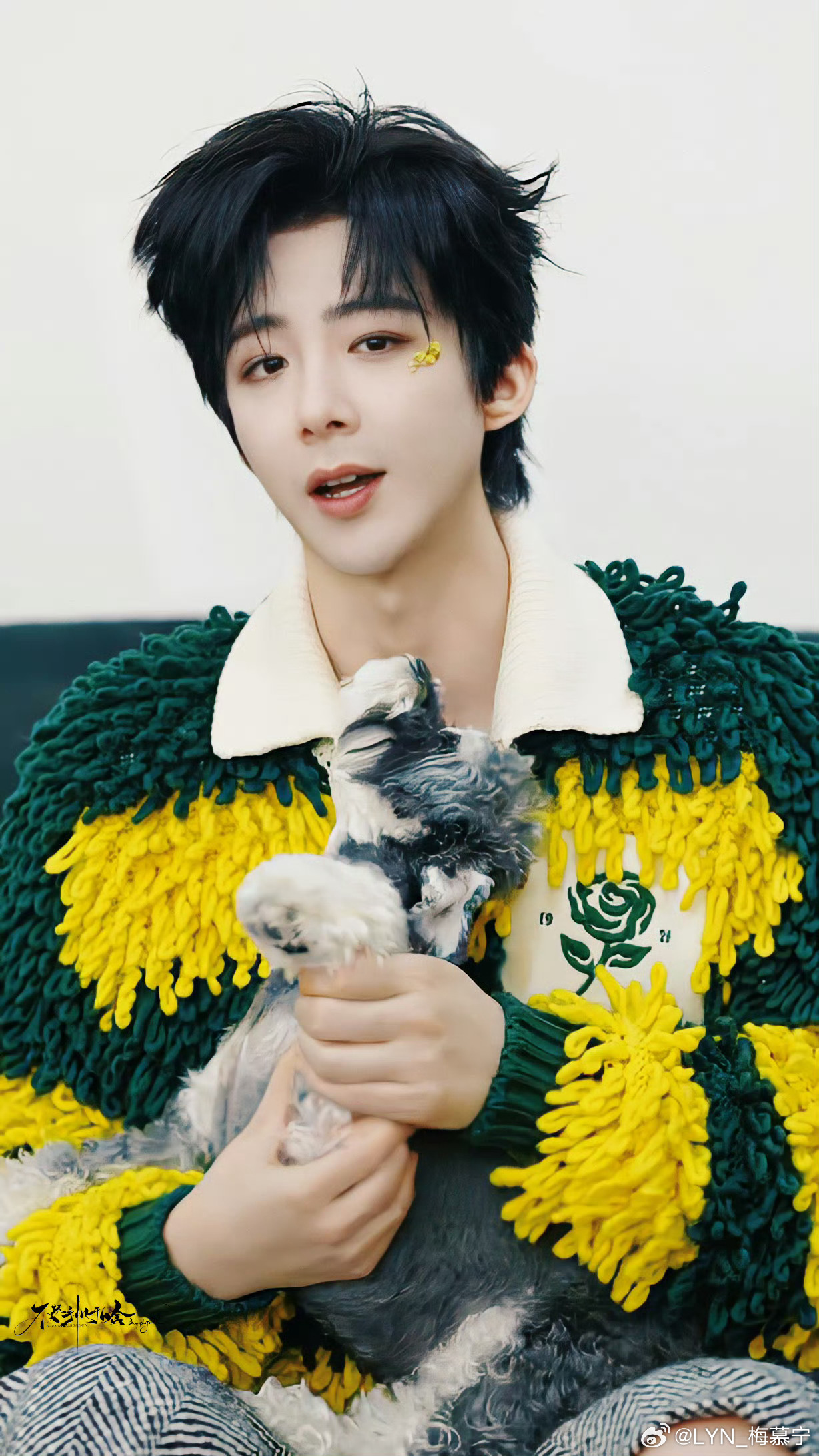 刘宇宁小贝 | 刘宇宁玫瑰丛生 | 摩登兄弟 | 刘宇宁杭州站官宣  刘宇宁小贝