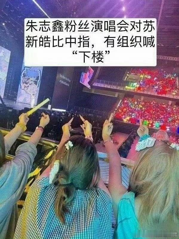 苏新皓“瞪眼”引议：粉丝行为不该是偶像失仪的遮羞布
 
演唱会“瞪眼”争议发酵，