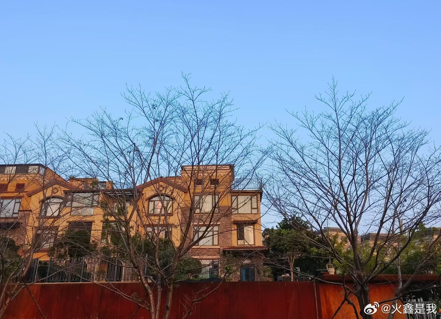 认知 终于有人扒了胡X进的苟皮，坏人他不敢骂，好人他使劲劝[允悲]在公芝的道路上