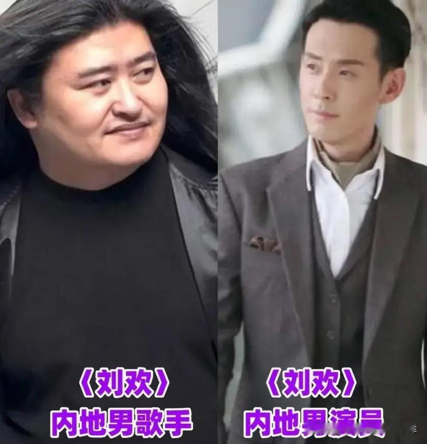 娱乐圈同名同姓的明星真的太容易认错了！歌手刘欢、演员刘欢、演员李晨、主持人李晨、