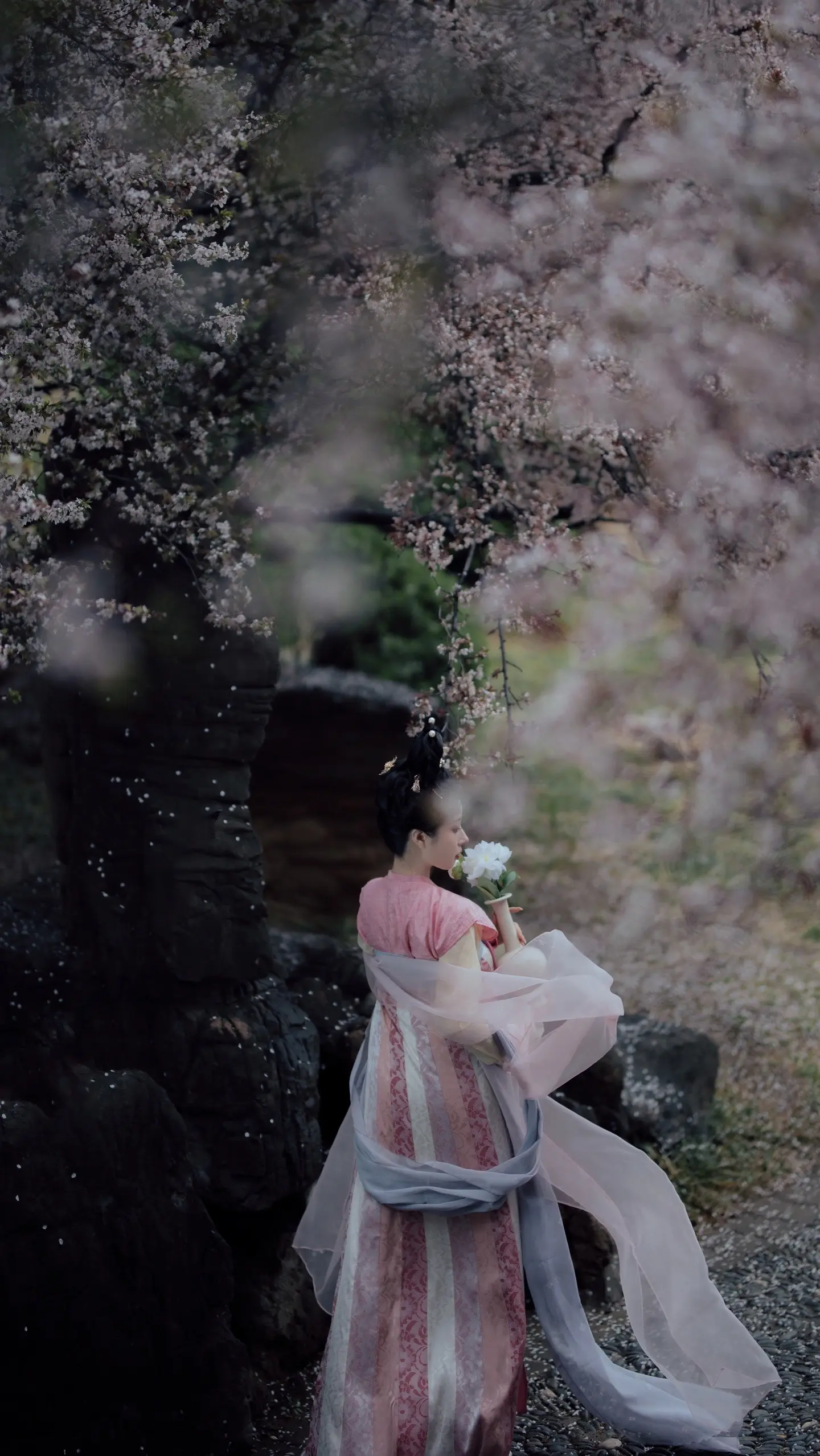 至若春和景明。