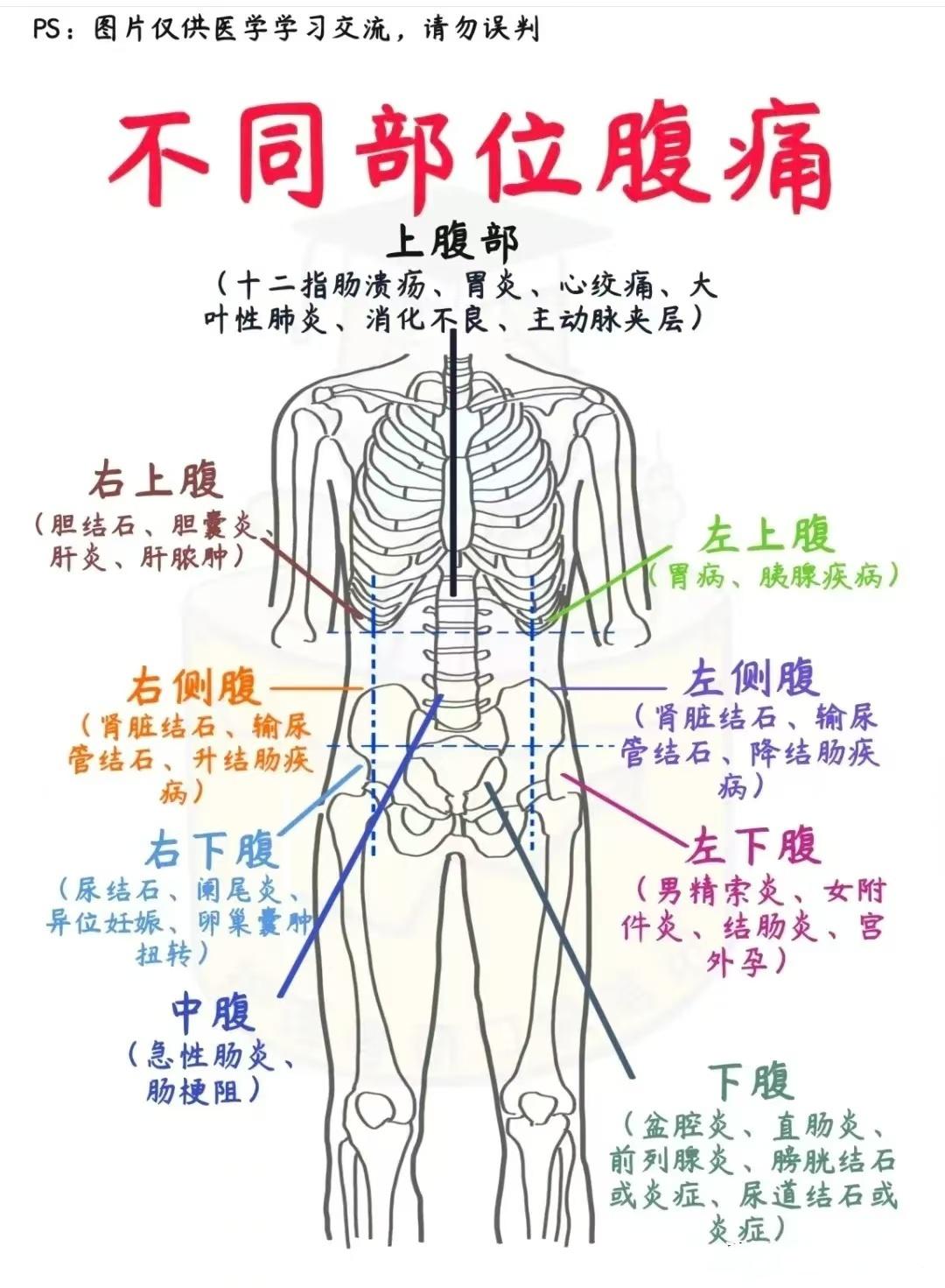 肚子痛，为什么总不好？分清位置很重要！
