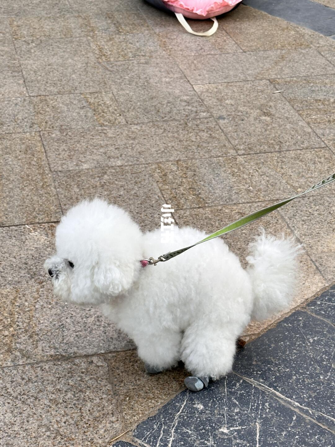 拉屎大王！！！！！