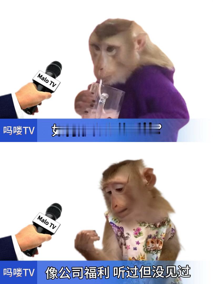 我上班就这样已读乱回： 