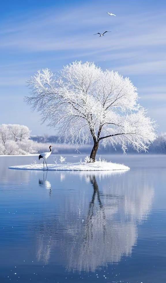 把你随手拍的照片配上这首音乐🎶冬季 随手拍