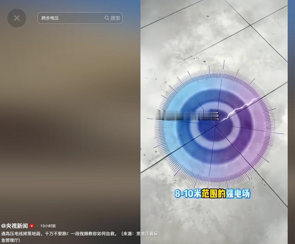 [浮云]高压线掉落地面怎么办，别再犯“撒腿就跑”的致命错误！

生活中总有突如其