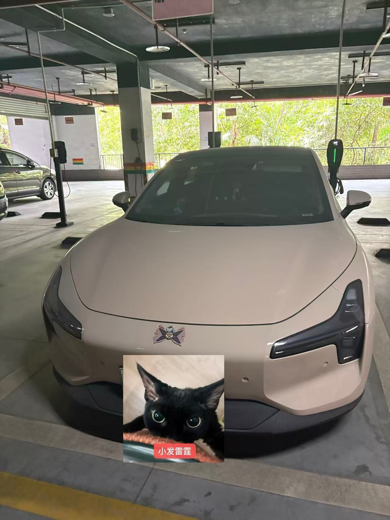 出去玩一个星期没开车跟一个月没碰了一样 怎么灰这么厚