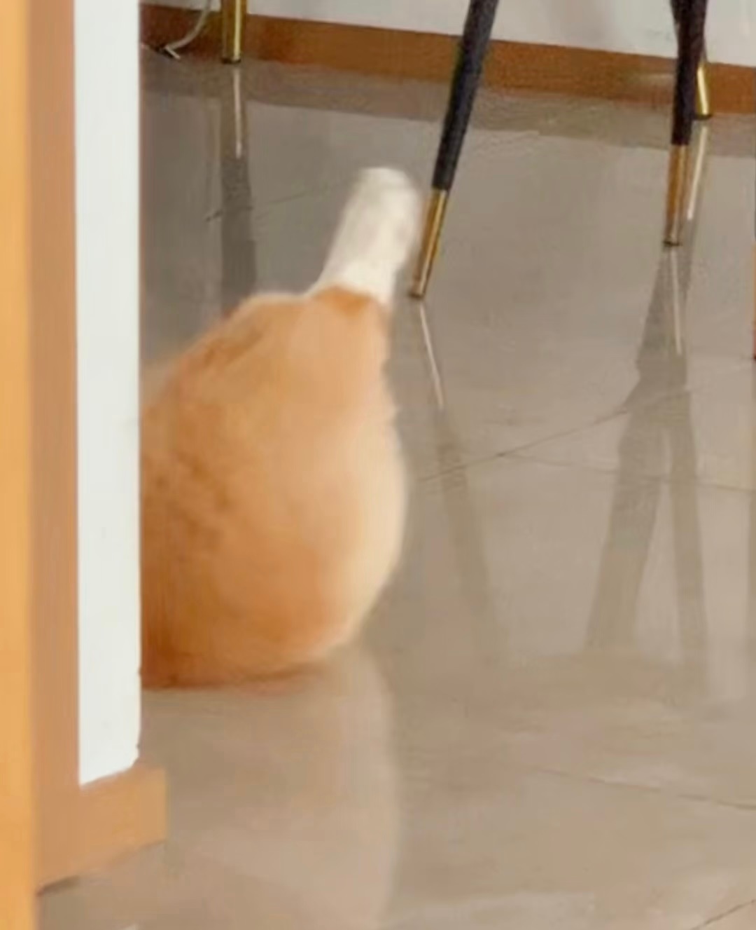 请你吃🍗 