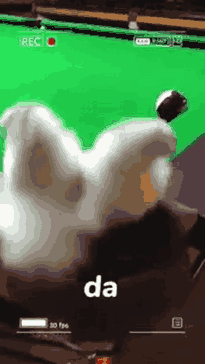 压力大的时候看看这些小狗的迷惑行为，还是很解压的
##
有时候就是想的太多，庸人