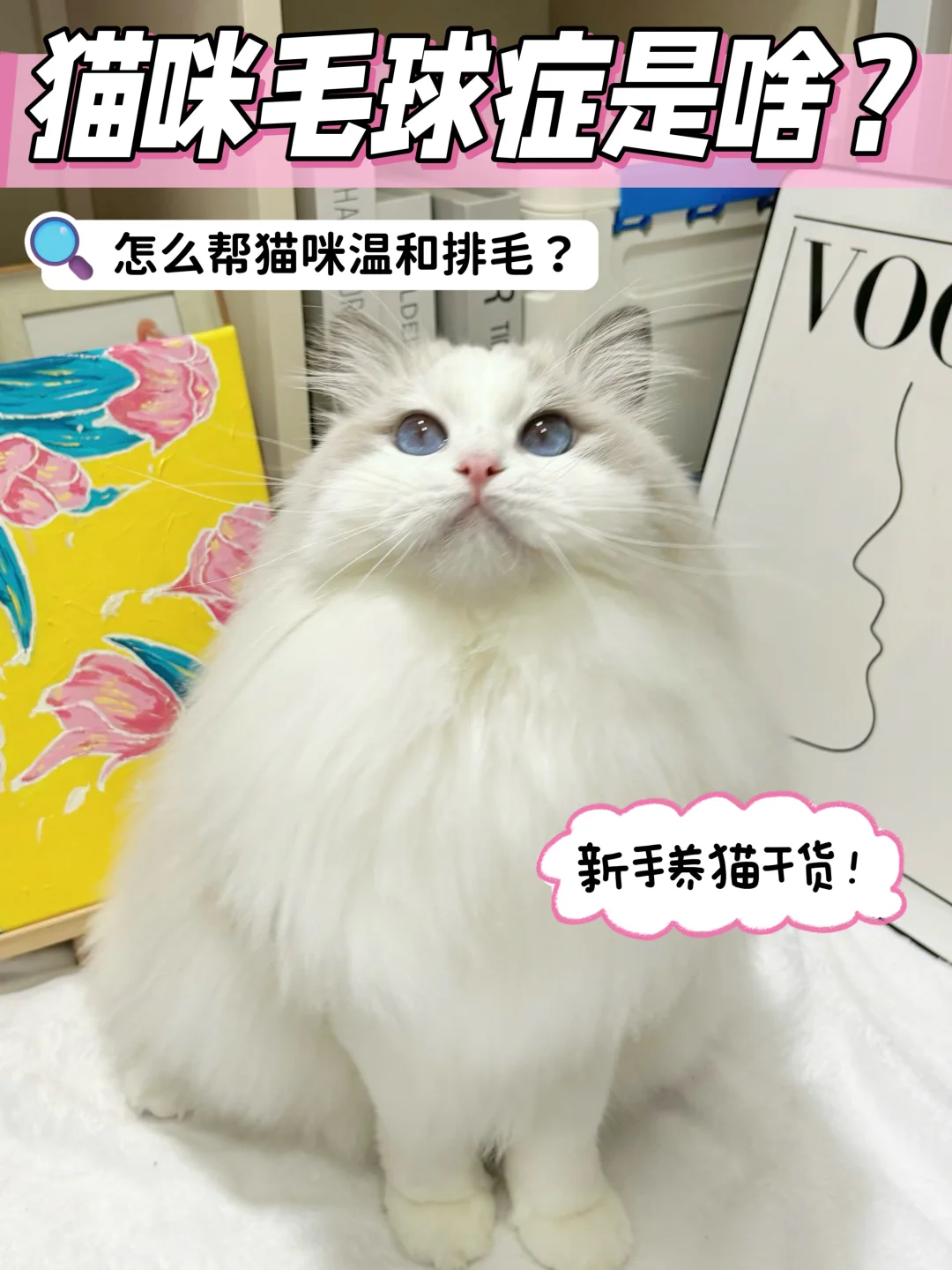 【新手养猫】了解毛球症&猫咪如何温和排毛