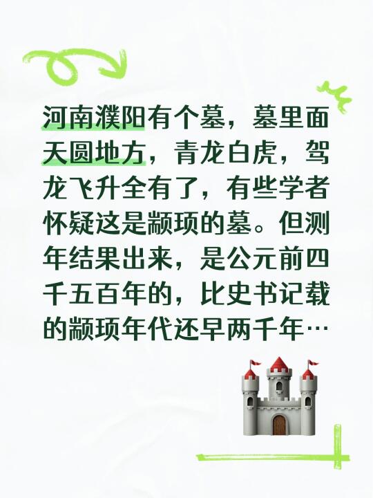 河南濮阳有个墓，墓里面天圆地方，青龙白虎，驾龙飞升全有了，有些学者怀疑...