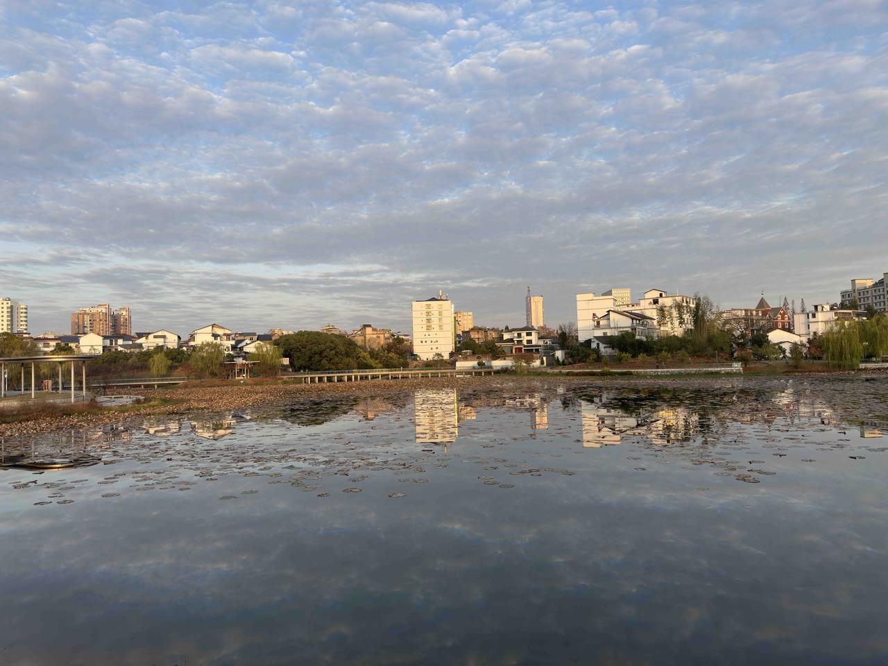 不知不觉就到了12月，我们这儿，满55周岁的女职工，只要是独生子女的母亲，不管退