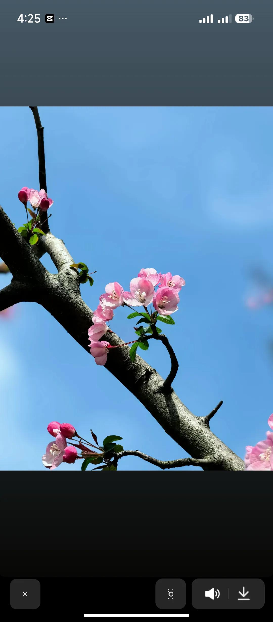 我在石家庄生活，儿子面临结婚，可目前就一套房，不想和他们住一起，他们也有自己的生