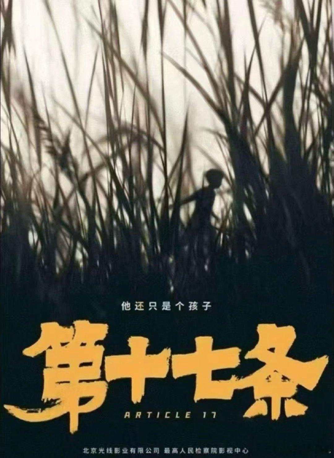 根据光线发布的财报，电影《第十七条》预计今年年内上映，暑假档可能性最大，7.17