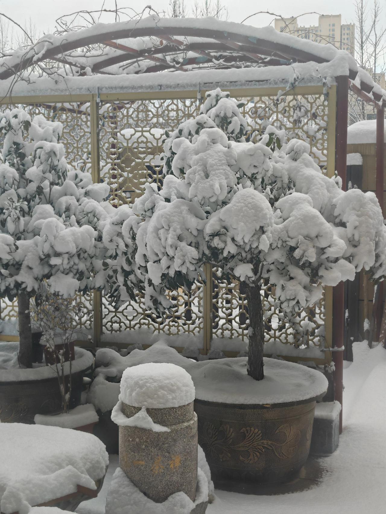 这就是今天威海的雪……
感谢王战友提供的素材！