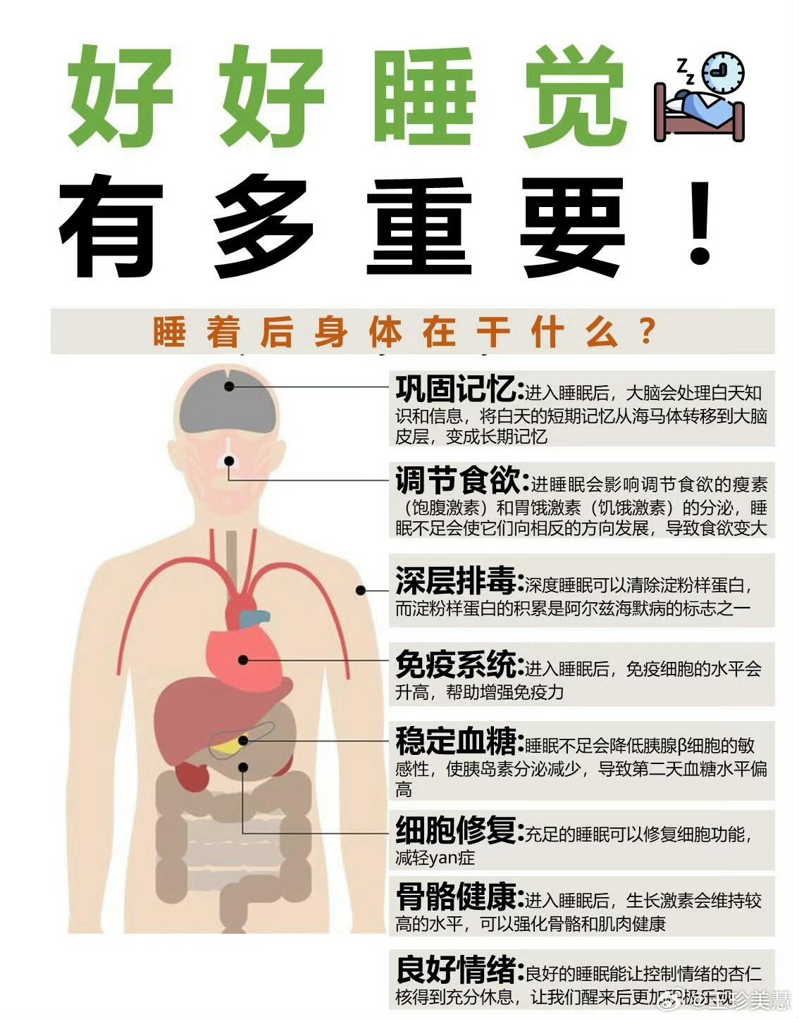 睡觉的权威性我后知后觉下午一觉睡到刚刚醒，这个天气真凉快呀