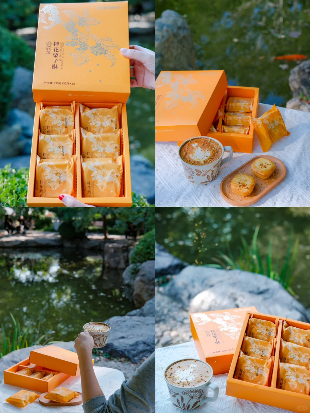 大理保姆级旅游攻略❗️逛吃玩1条龙❗️