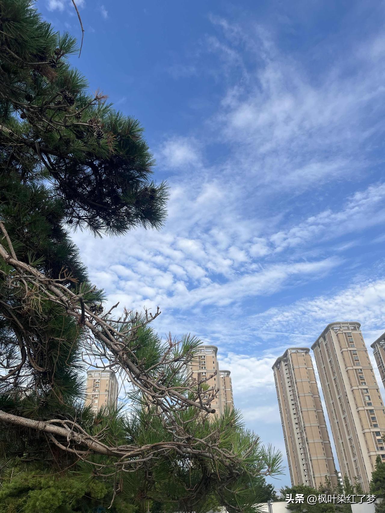 天蓝的透明，与云相伴很是惬意。
