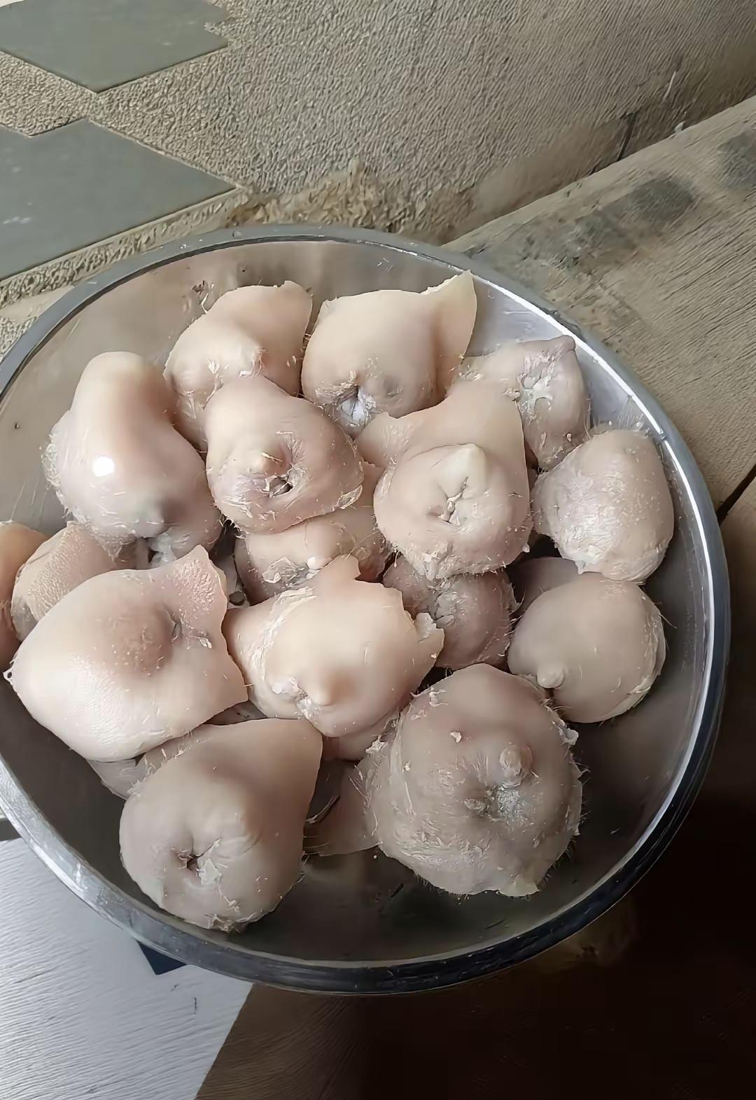 第一次去婆婆家，老公说吃点好东西，拿出来吓我一跳，这是什么啊求大神告知？