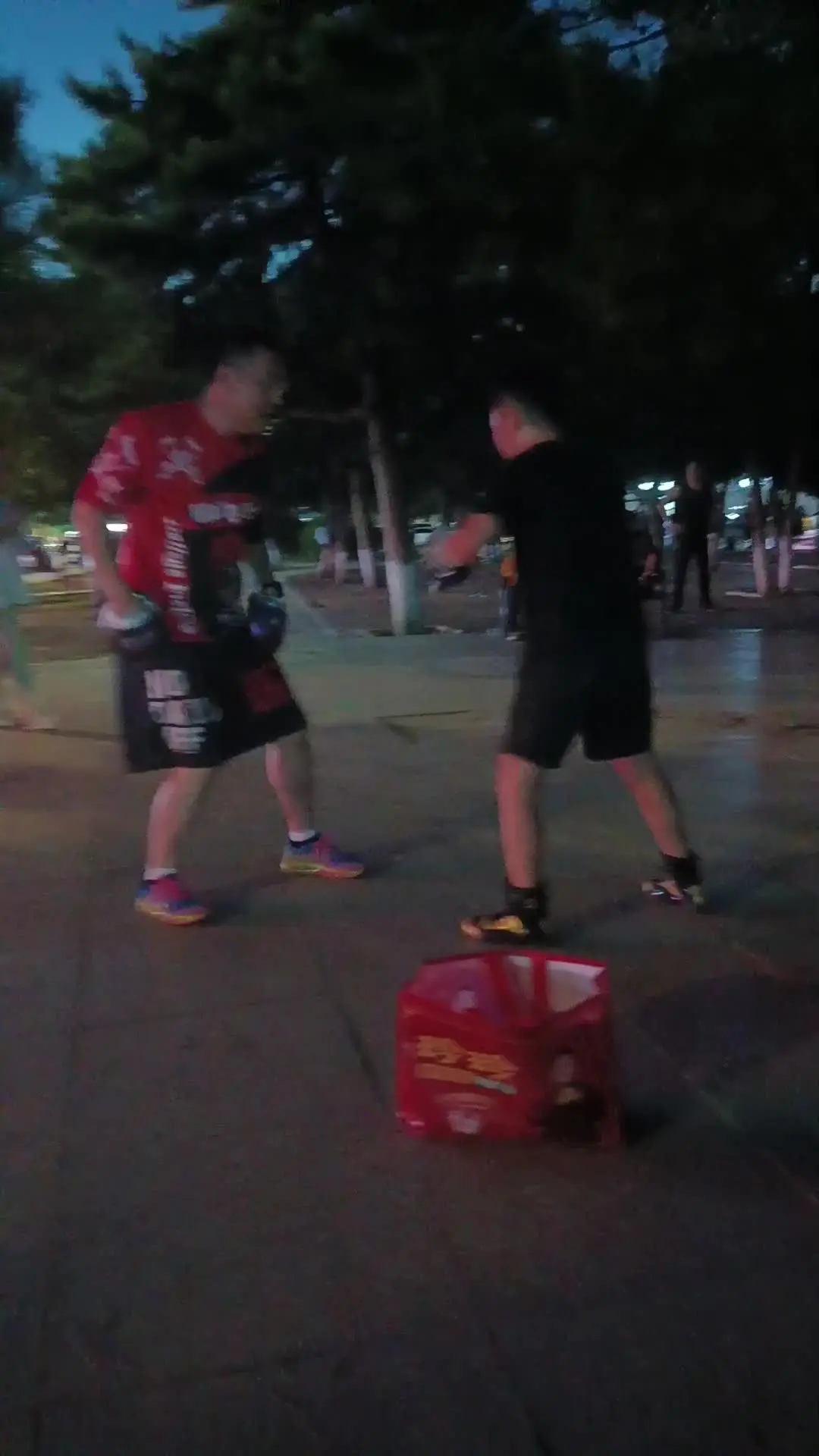 综合格斗  摔跤 le