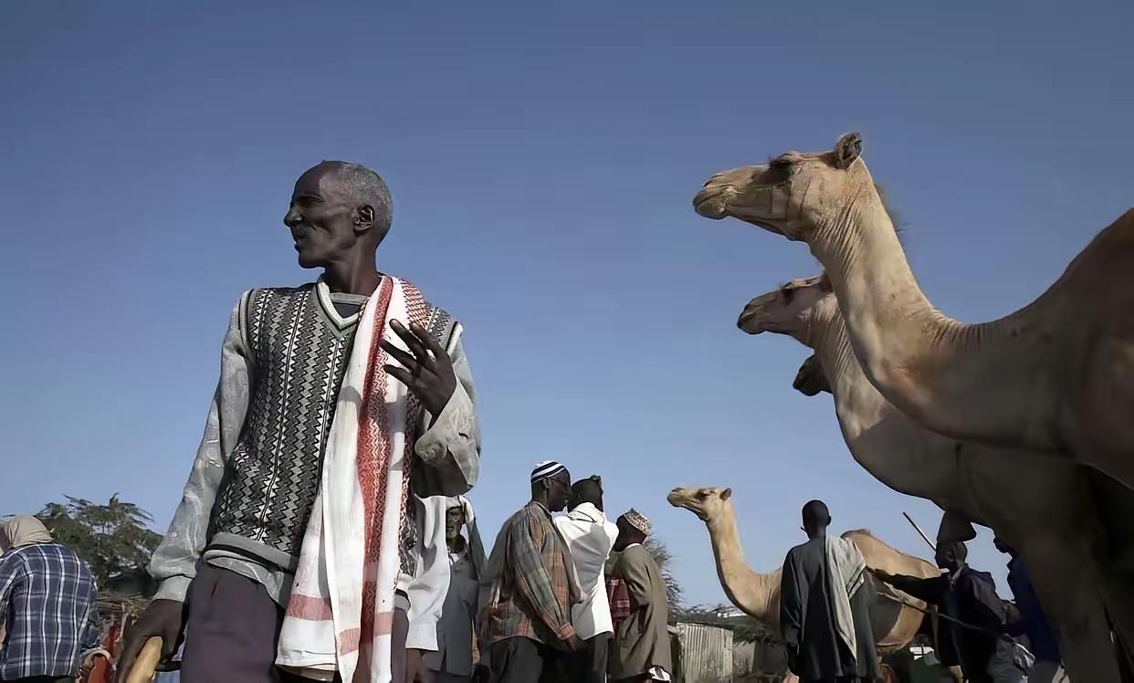 1978年，索马里沙漠一个13岁女孩被父亲以5头骆驼卖给60岁老人，当她赤脚逃出