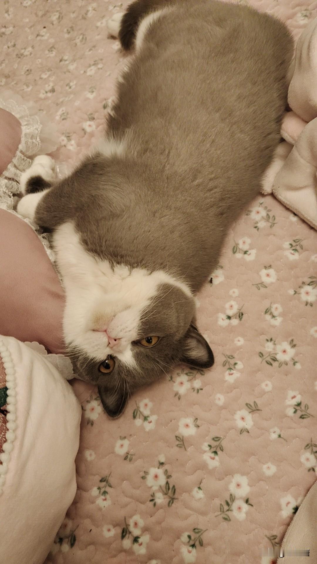 南怀瑾南老传了一句话，当你想不开抑郁想自己沙自己的时候，可以读，很多人都试过了，