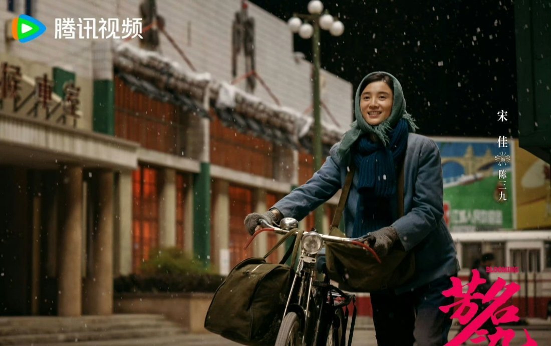 没想过是宋佳高伟光但意外合适 野草系女企业家×正直深情守护者，这个设定太戳人，新