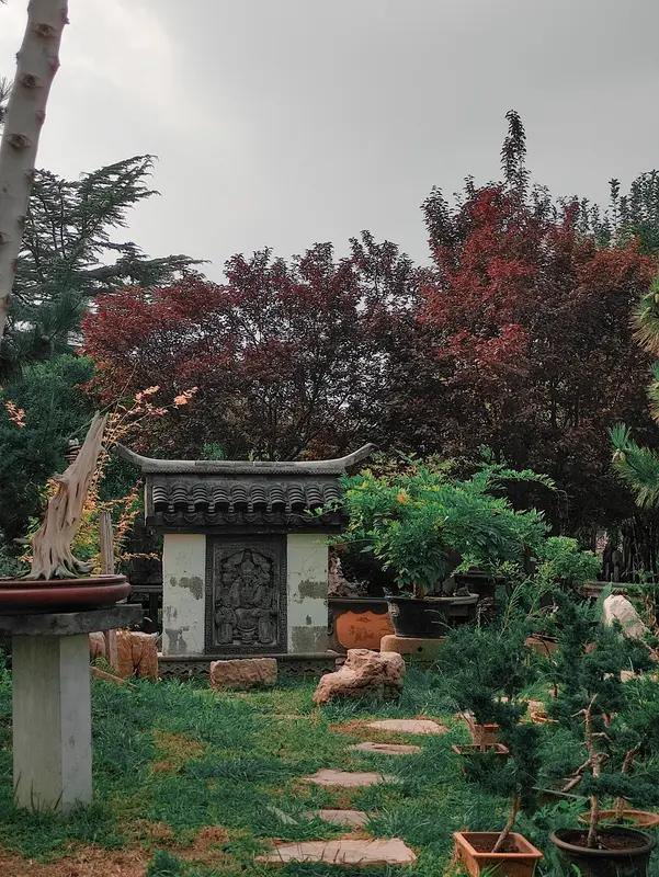 迎六一
小园灿丽焕新晴，灼灼其华幼日英。
书海遨游飞锦叶，文山阔步唱高声。
正如