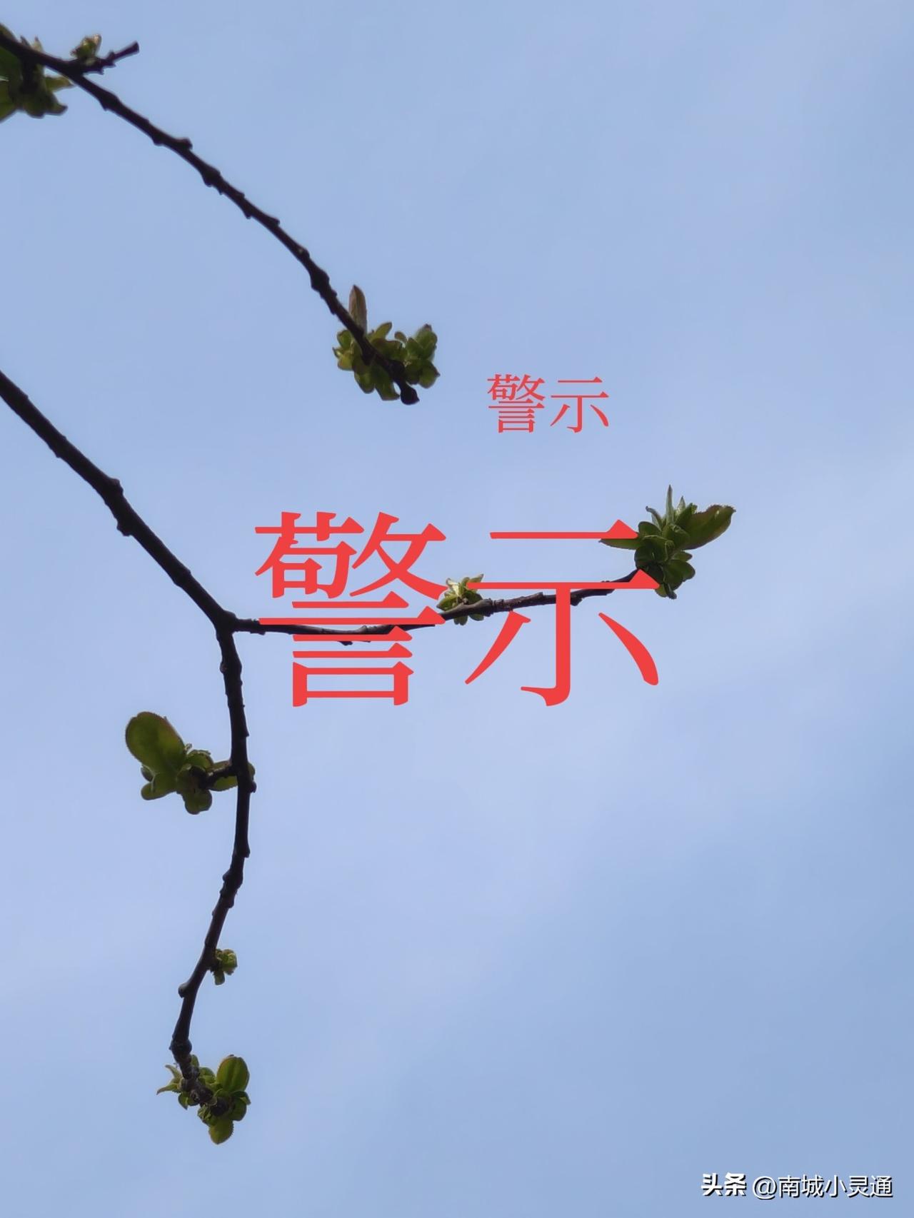 张老师突然去世了，看到这个消息震惊不已。他才41岁啊！财富自由了，但是啥也没有享