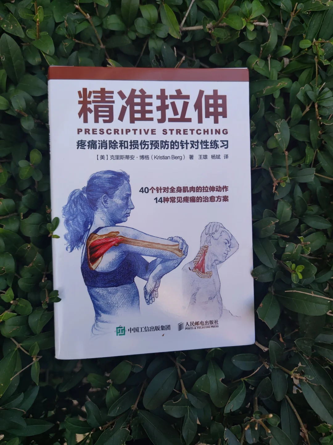 《精准拉伸》：消除肌肉疼痛的宝贝书