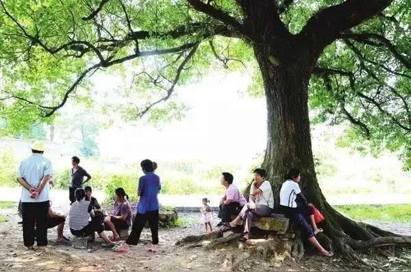 三个女人吹牛
天气炎热的夏天，县城公园里，几位女人坐在大树下的长椅上，边乘凉边聊