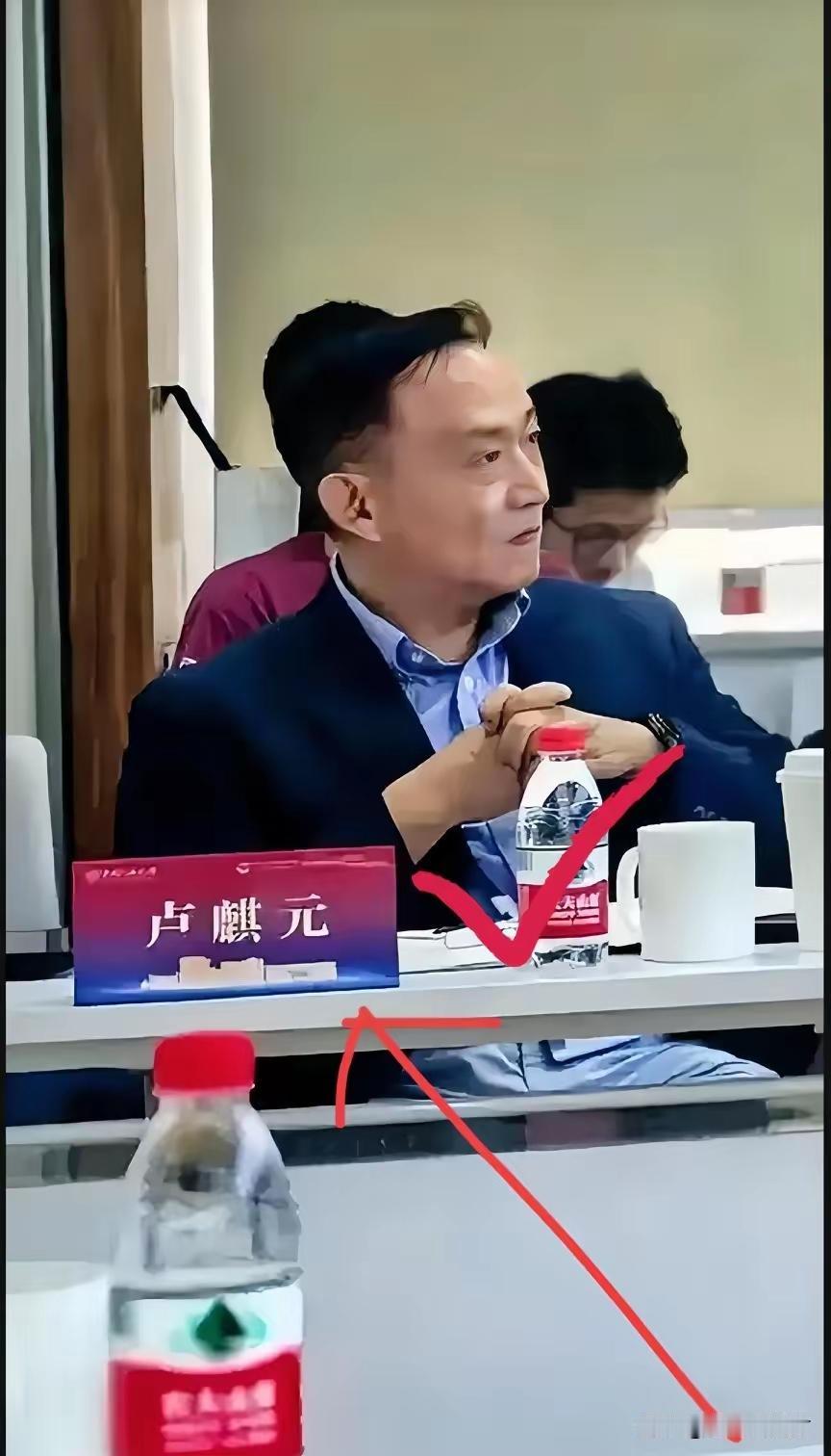 卢麒元这桩事，越想越觉得憋屈。他挖到经济疲软的根源是“走资”，戳中了利益集团的痛