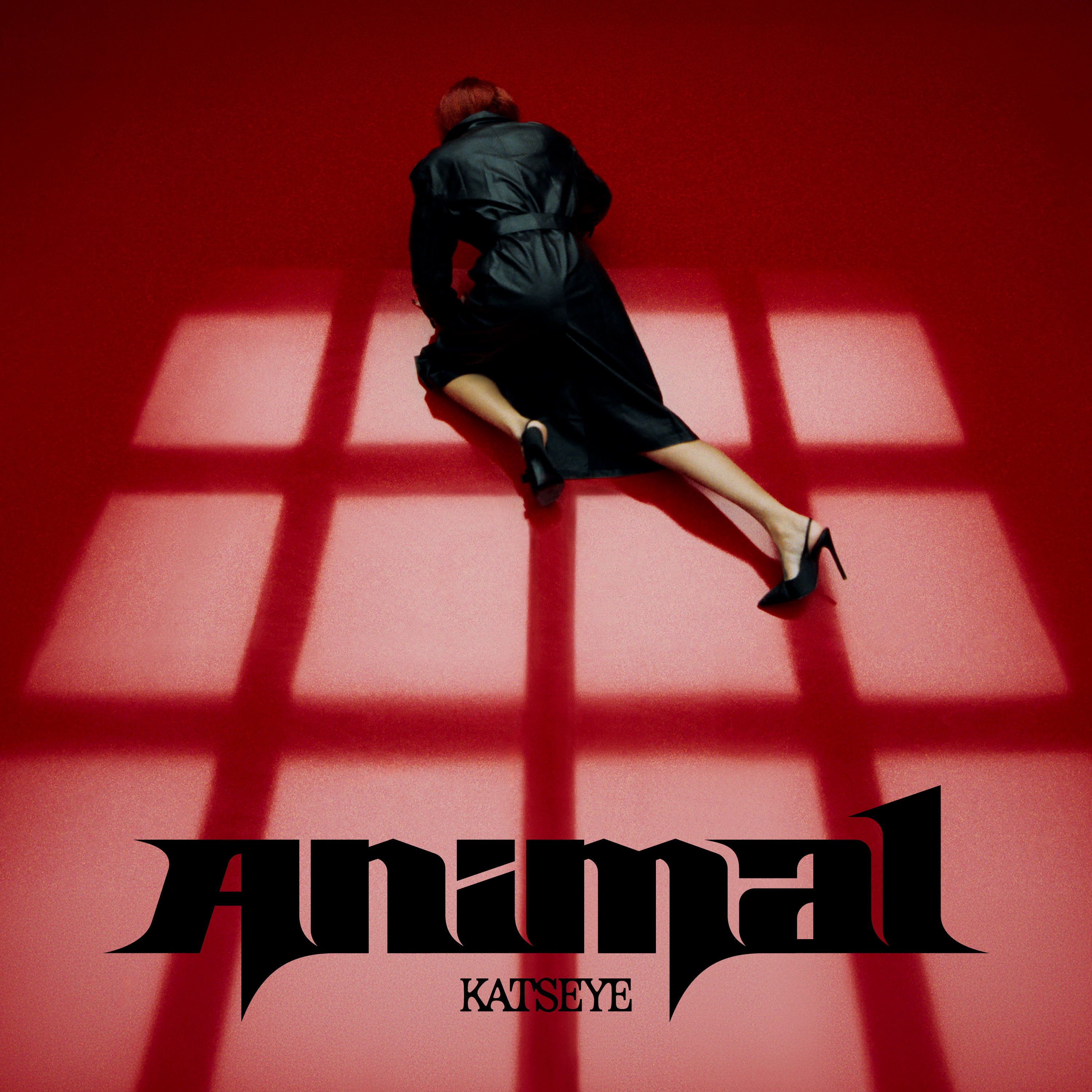 KATSEYE 本周五发行新单曲「Animal」封面一览： 