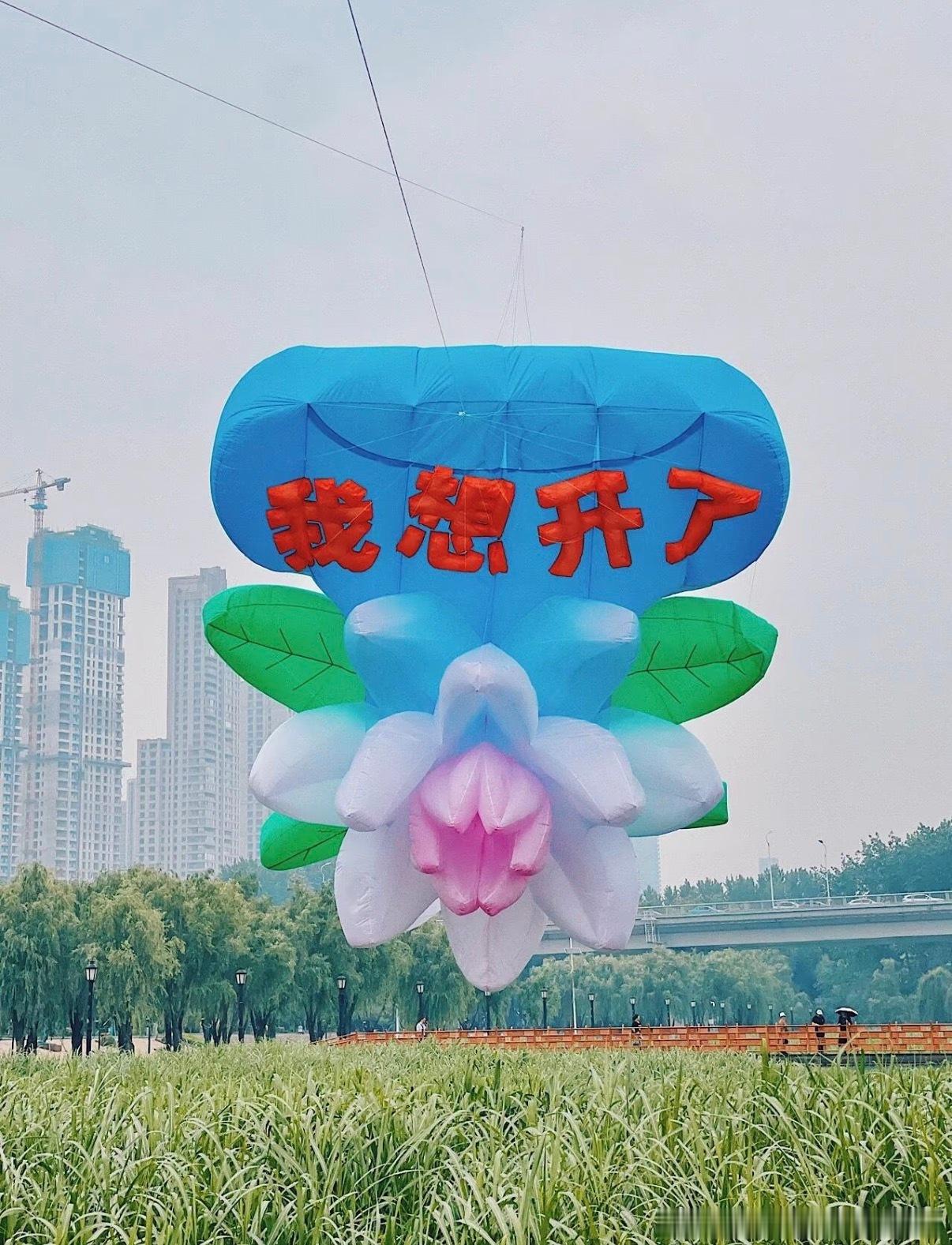 第一次见会搭讪的风筝天上这只风筝也太会社交了，全程主动凑到别的风筝旁边贴贴，活泼