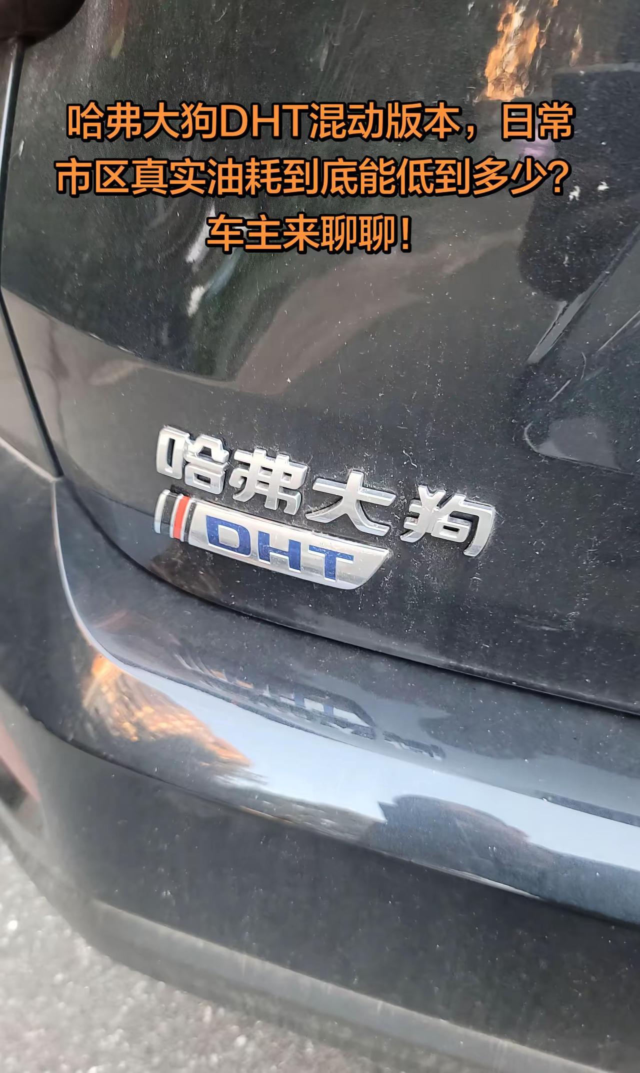 哈弗大狗DHT混动版本，日常市区真实油耗到底能低到多少？车主来聊聊！哈弗大狗 D