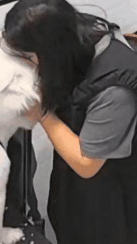 女子亲着一条白色的狗，亲的那么专注[捂脸]
谁知道狗子却不认可
生气的用尖利的牙