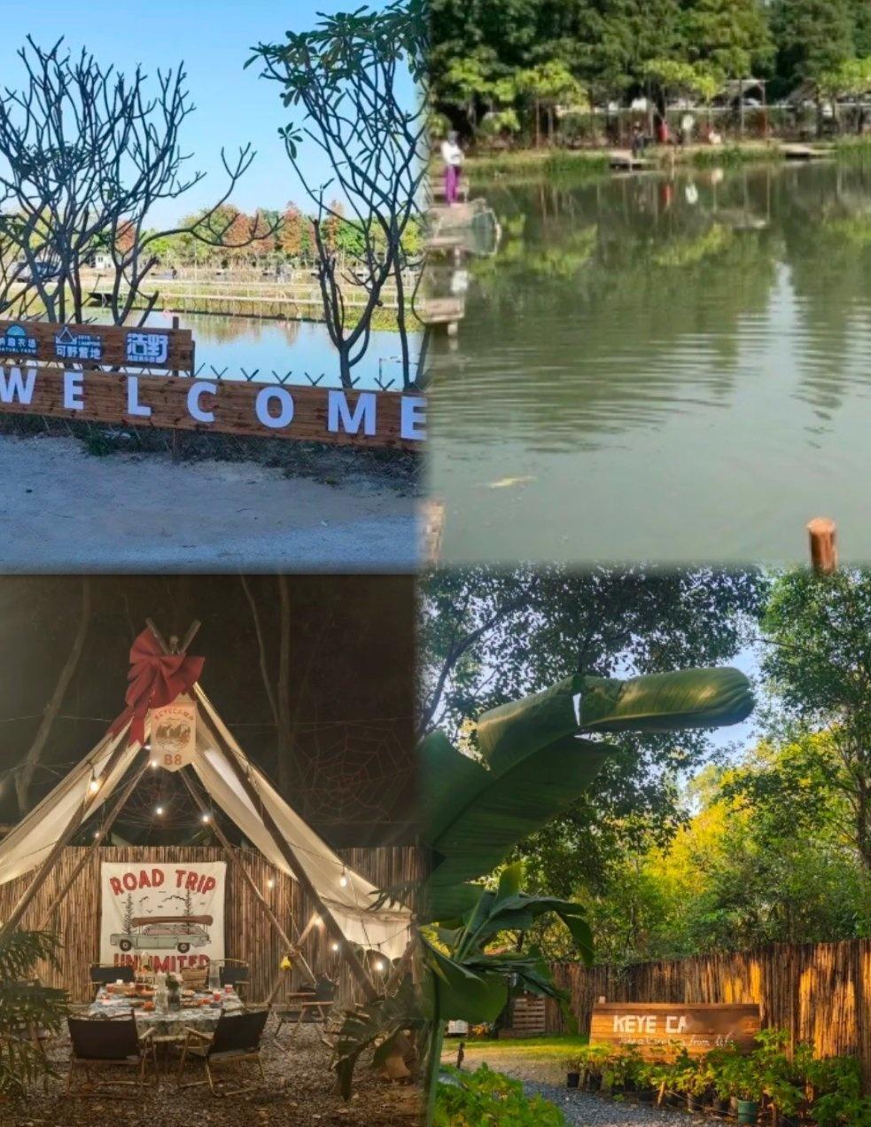 不必远走，在番禺就能拥有“小逃离”的快乐！纳趣农场·可野营地藏着城市之外的松弛感