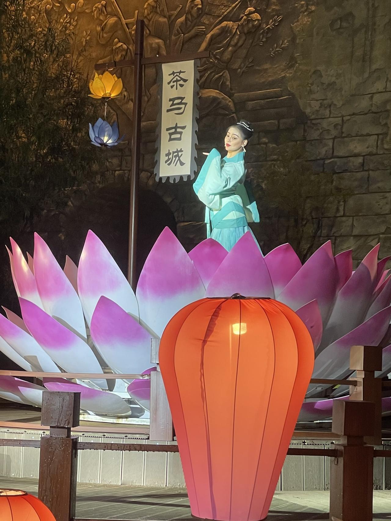 想躺平的风还是吹到了普洱！