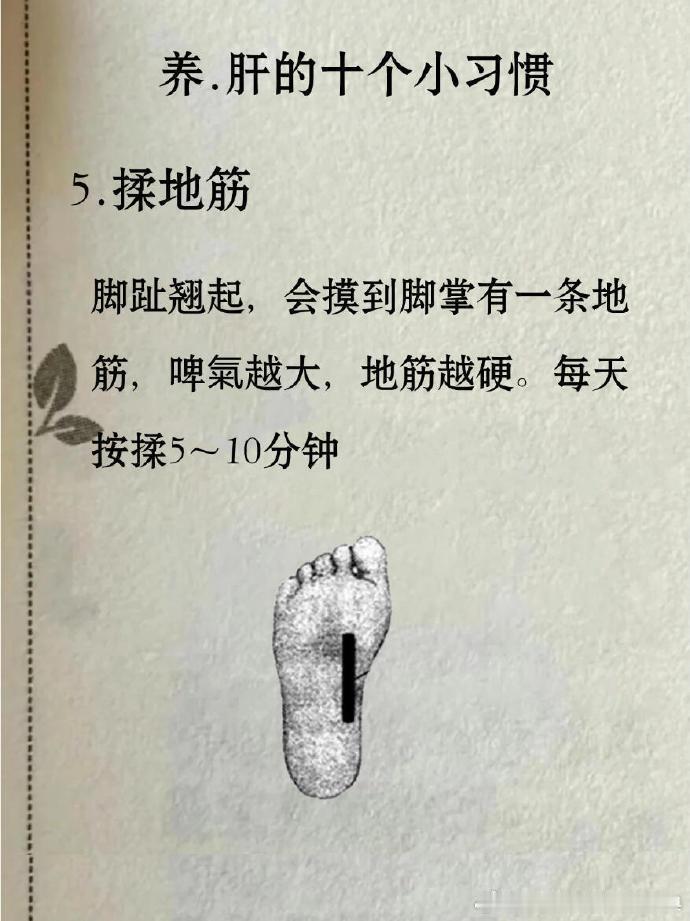 夏养肝，坚持一个月！把肝养年轻 