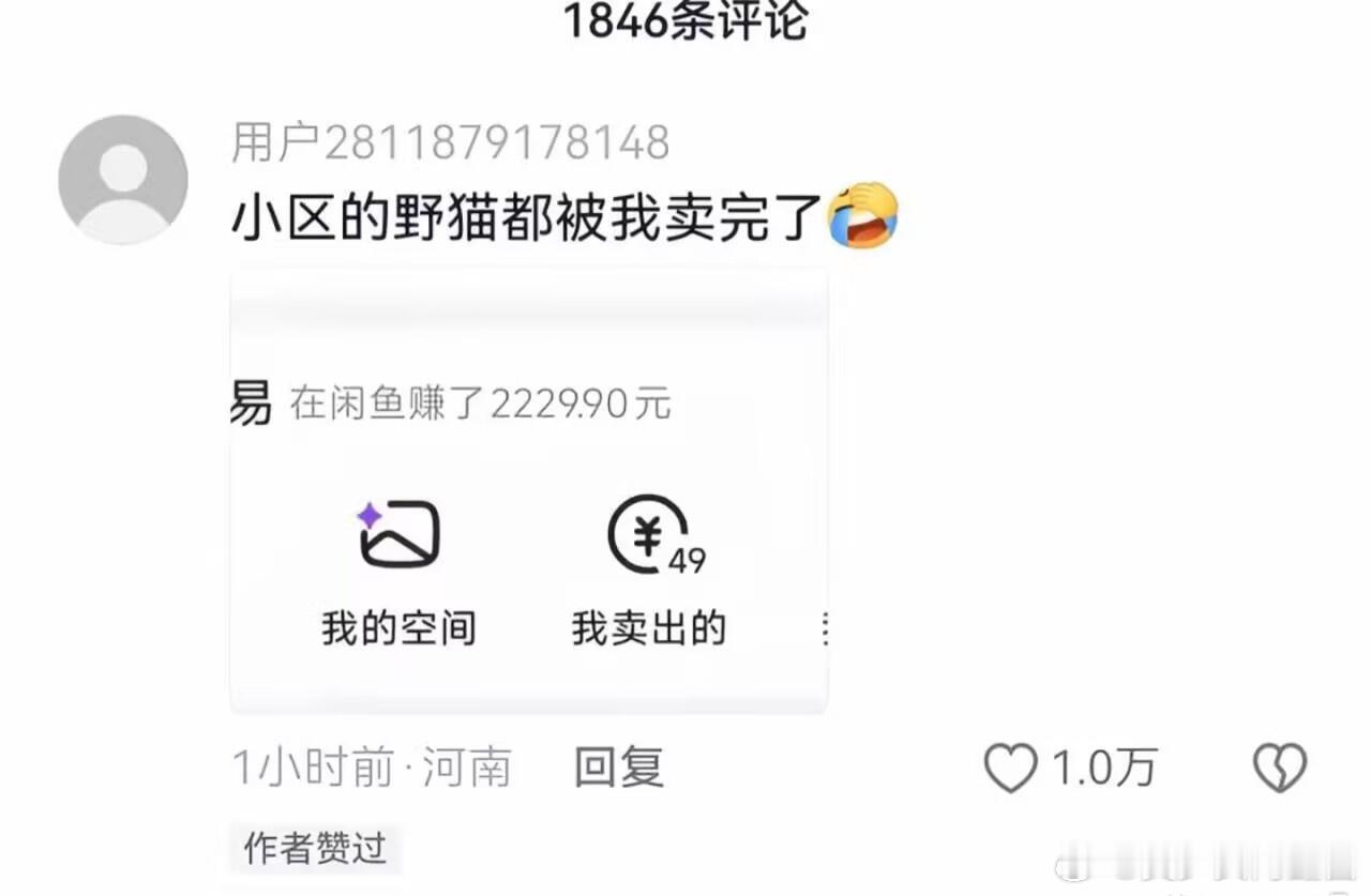 天才呀 