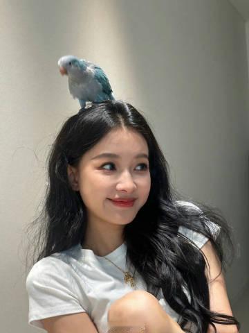 孙怡膝盖上这么夺淤青不会是被家暴了吧 ​​​