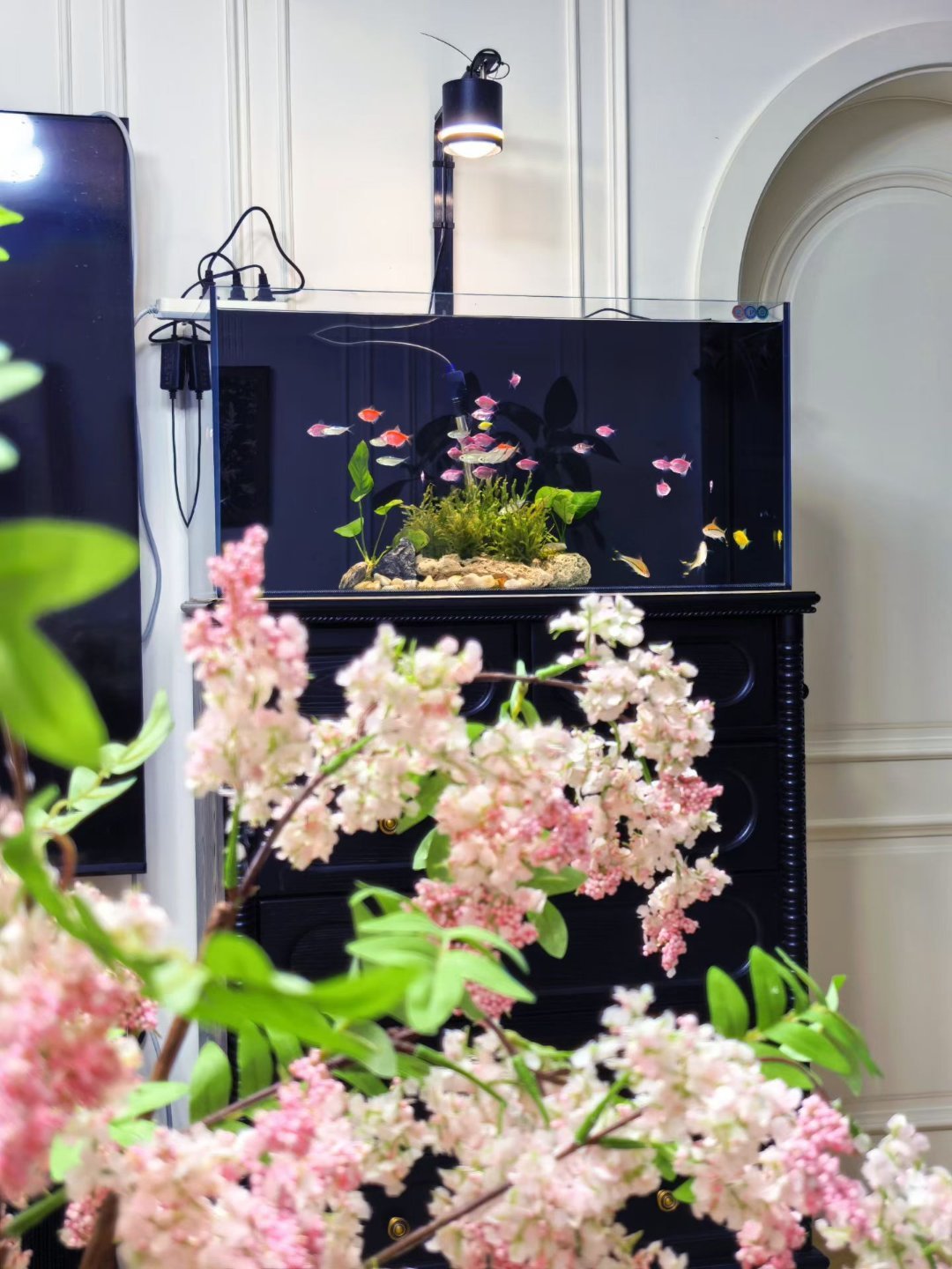 自由的镜头是一个和煦的春天🌱 春天真好啊～周五的春天最好 