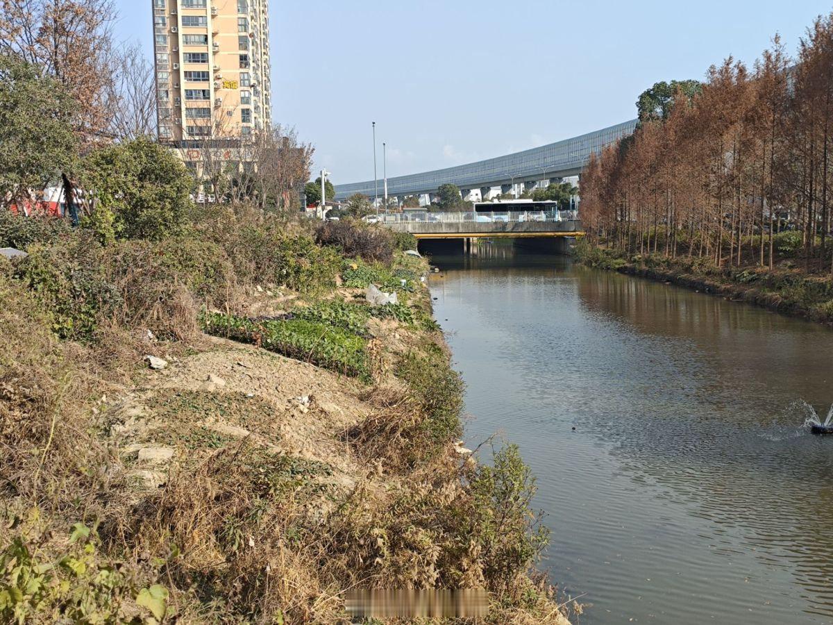 江北区庄市大道与风华路交叉口、地铁2号线宁波大学站附近（富力广场东南面）的一块无