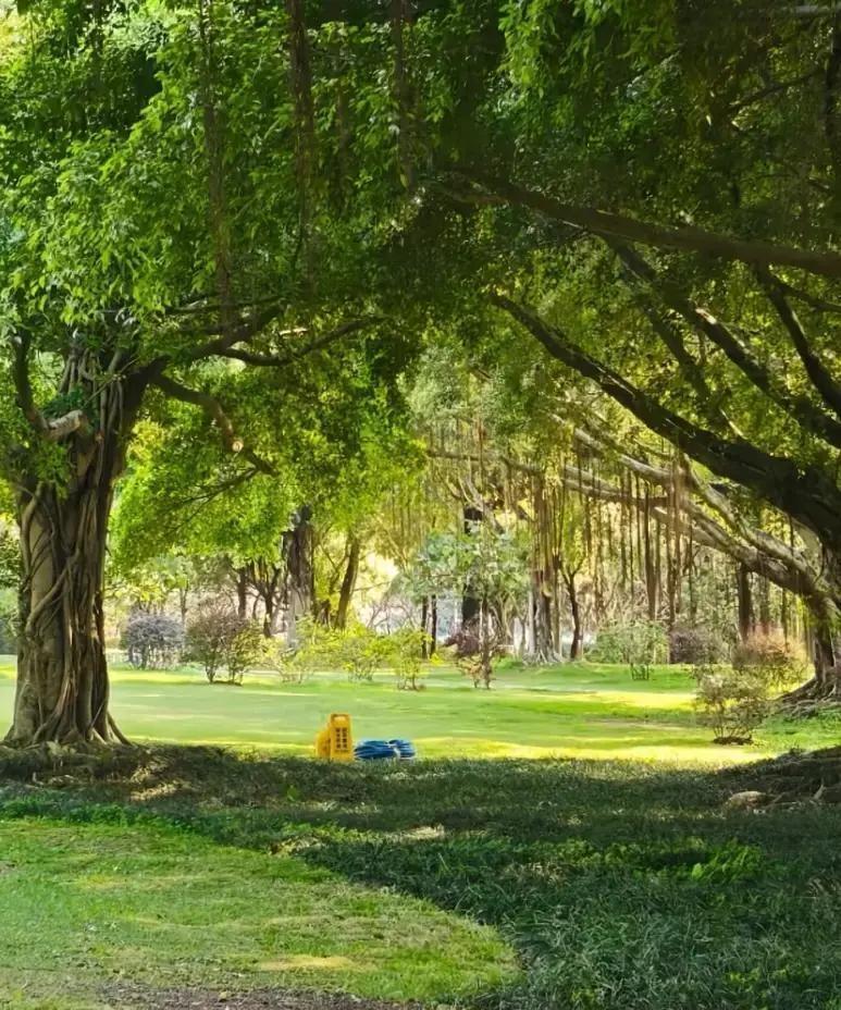 我姐姐越来越不正常了。
姐姐是71年的，今年55岁了，基本没有什么社交活动，也不
