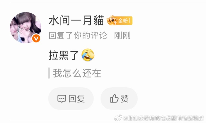 这人网暴素人